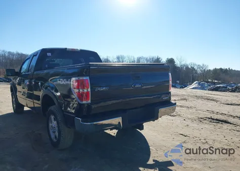 2009 Ford F-150 Stx/Xl/Xlt z USA, uszkodzony, nr VIN 1FTRX14889FA26655